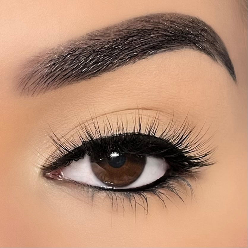 JEWEL MAGNETIC LASH